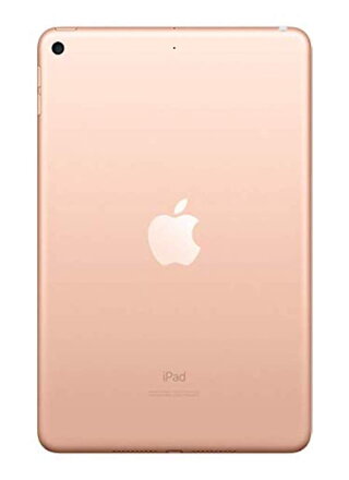 Apple iPad mini - 7.9" Gold (Latest Model)