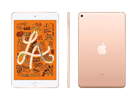 Apple iPad mini - 7.9" Gold (Latest Model)