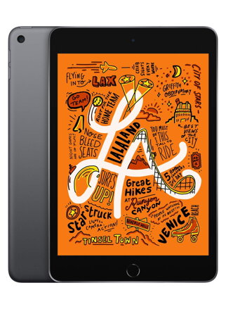 Apple iPad mini - 7.9" Space Gray (Latest Model)