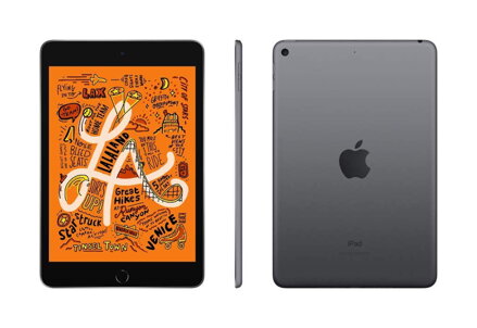 Apple iPad mini - 7.9" Space Gray (Latest Model)