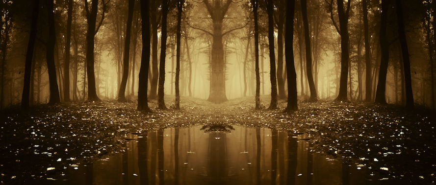 Banner_Fantasy_03