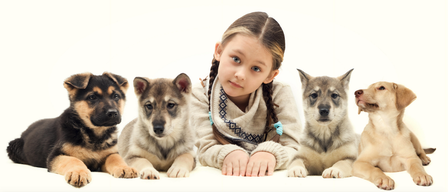 Animals_02