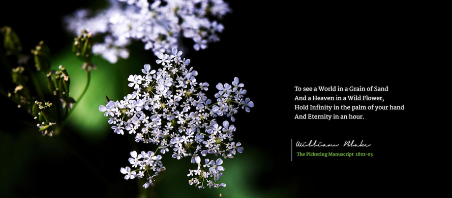 Poetry_01