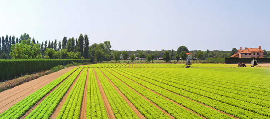 Banner_Agriculture_01