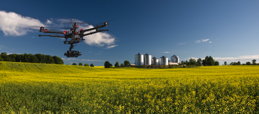 Banner_Agriculture_02
