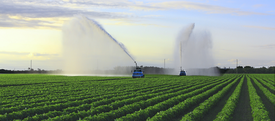 Banner_Agriculture_03