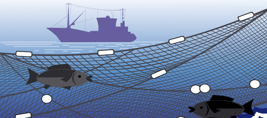Fisheries_01