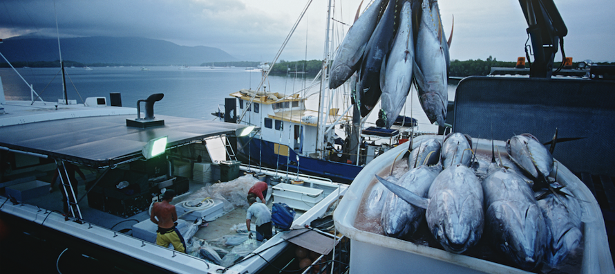 Fisheries_02