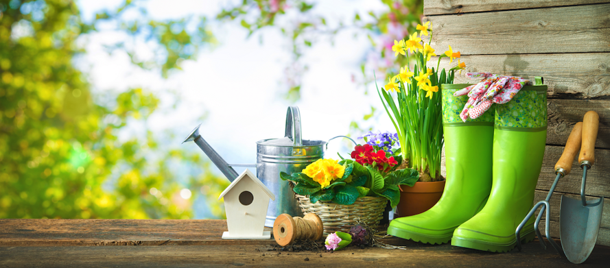 Garden and Landscape_03
