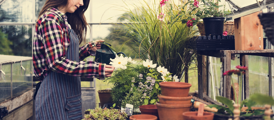Garden and Landscape_04