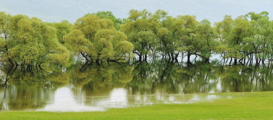Nature_01