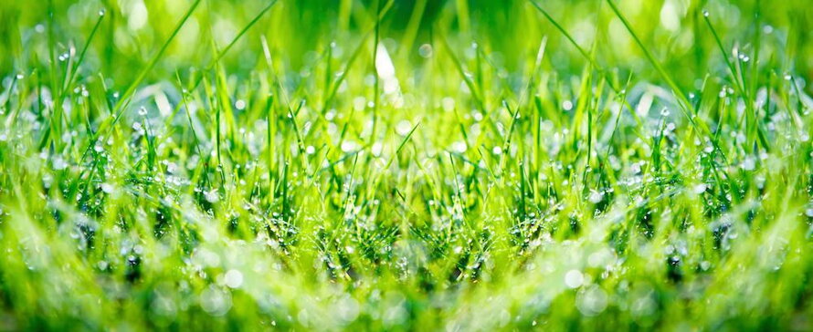 Nature_03