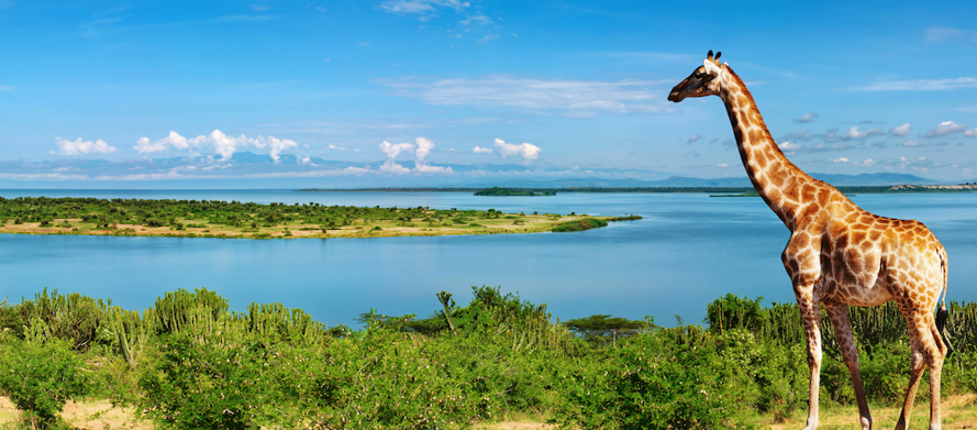 Travel and Tourism_03