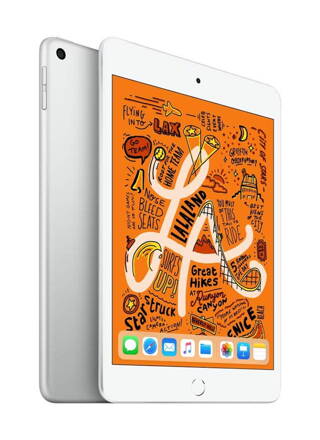 Apple iPad mini - 7.9" Silver (Latest Model)