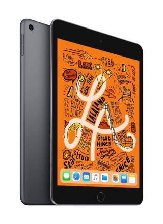 Apple iPad mini - 7.9" Space Gray (Latest Model)