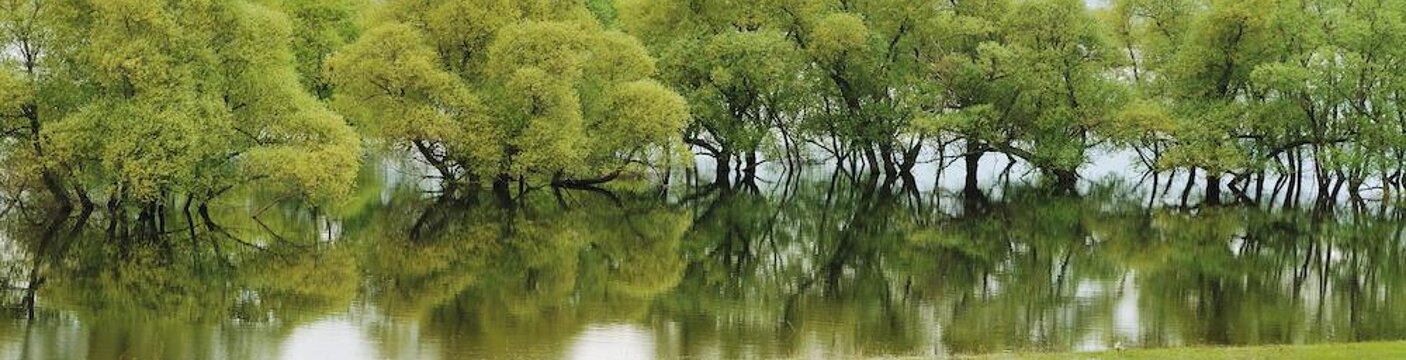Nature_01
