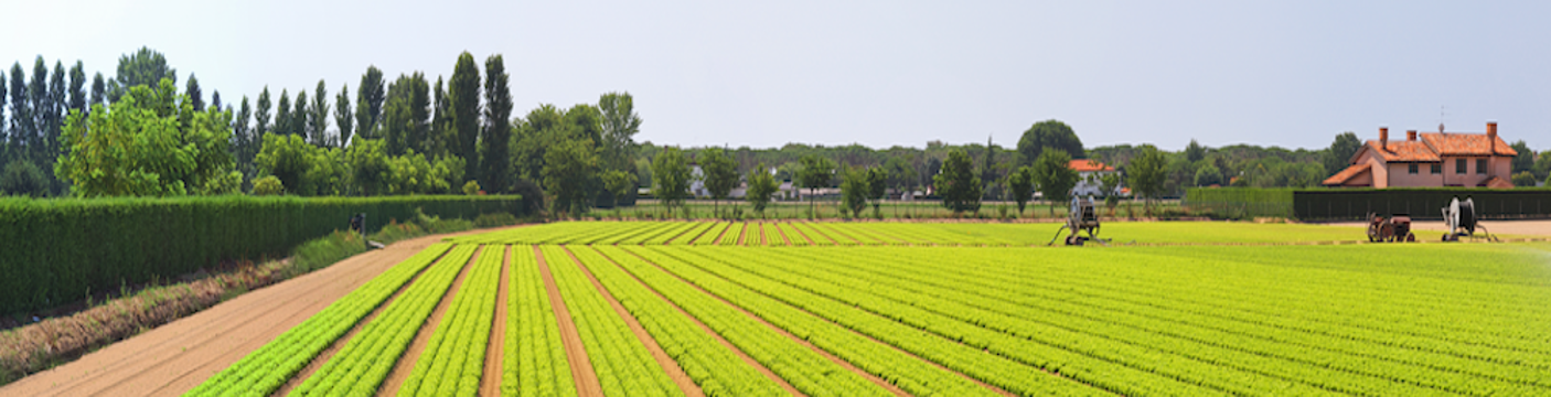 Banner_Agriculture_01