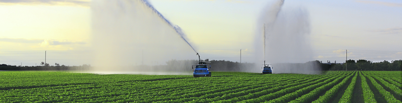 Banner_Agriculture_03