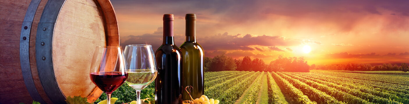 Cookbooks, Food and Wine_03