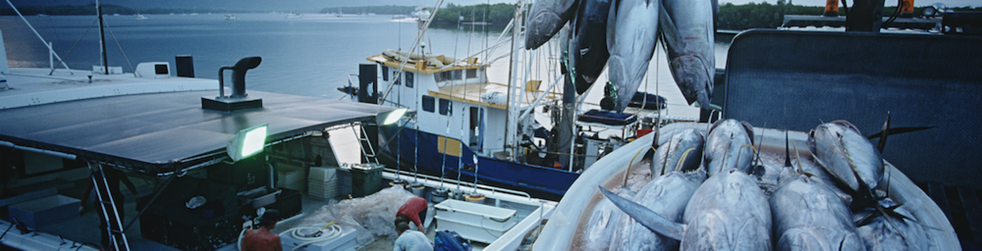 Fisheries_02