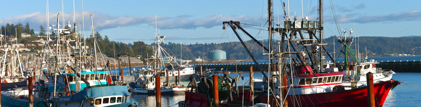 Fisheries_03