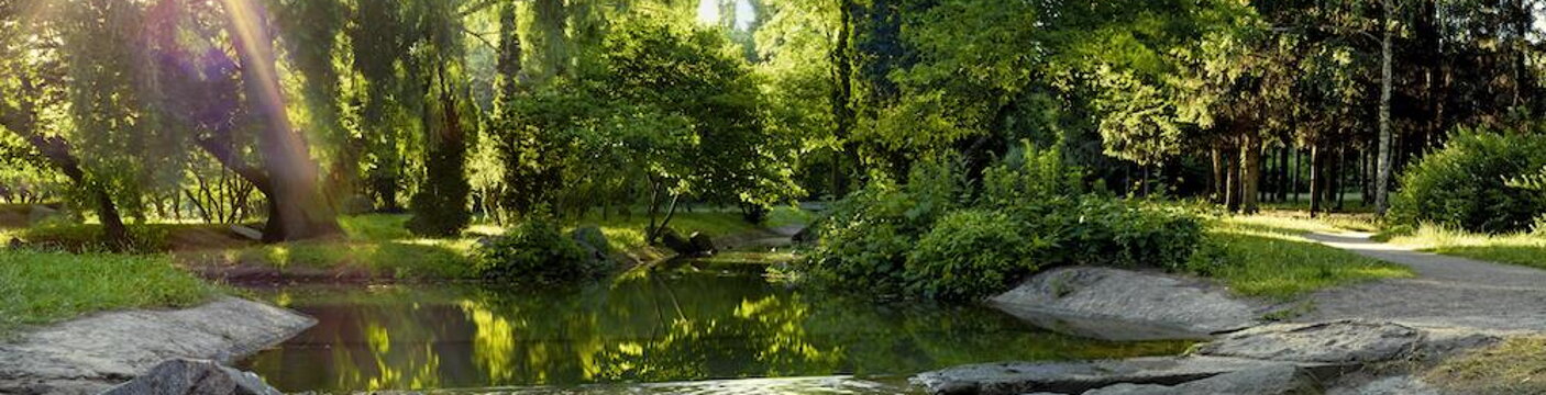 Garden and Landscape_01