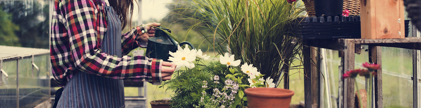 Garden and Landscape_04