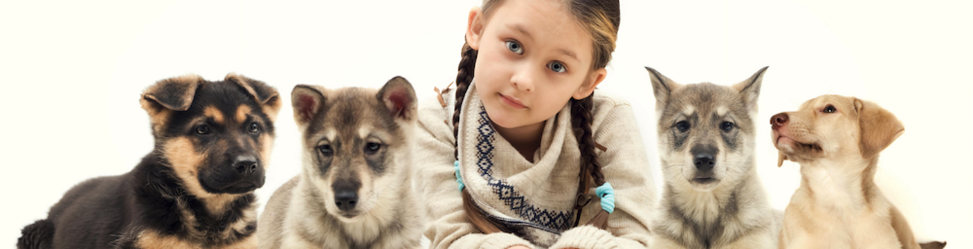 Pets_02
