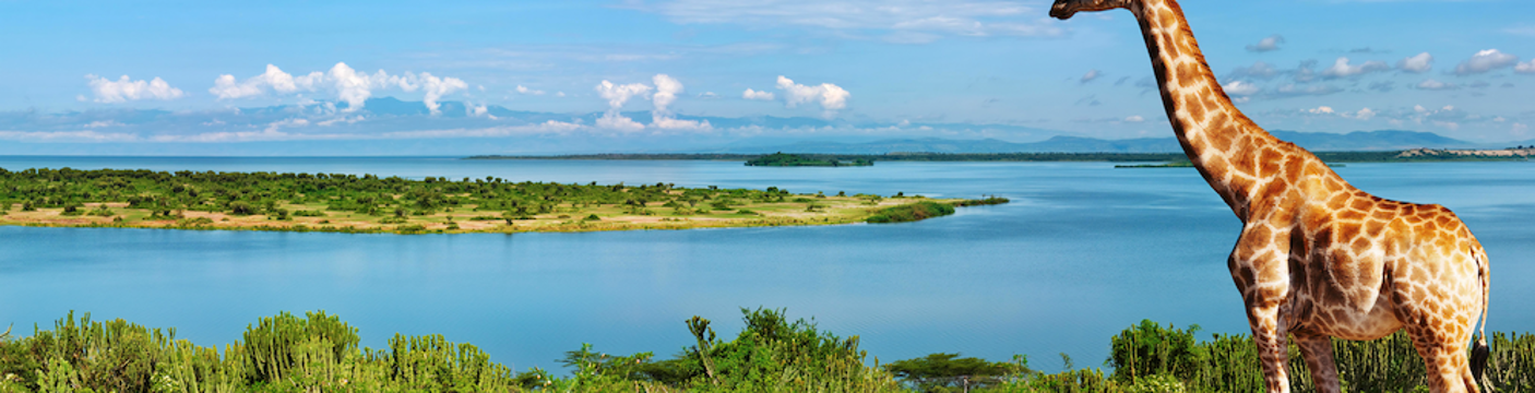 Travel and Tourism_03